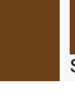 Godrej Office Desk T-9 in Bengali Mango with Sepia Brown color – Godrej Interio
