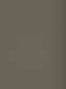 Godrej Slimline XL 2 Door Almirah Tree Bark in Tree Bark color – Godrej Interio