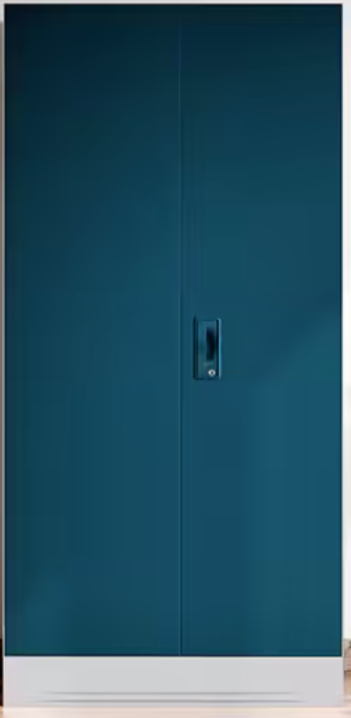 Slimline 2 Door with Locker Body – Godrej Interio almirah at Mohan Brothers