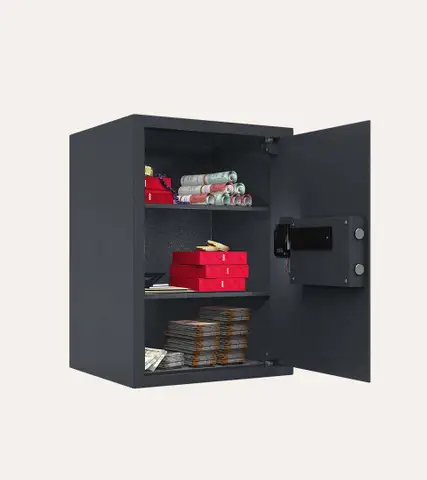 NX Pro 45L Digi Plus Bio Godrej Safe – Godrej Interio Furniture – View 4
